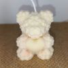 Forever Bear