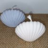 IMG_20251229_231951 Ocean Shell