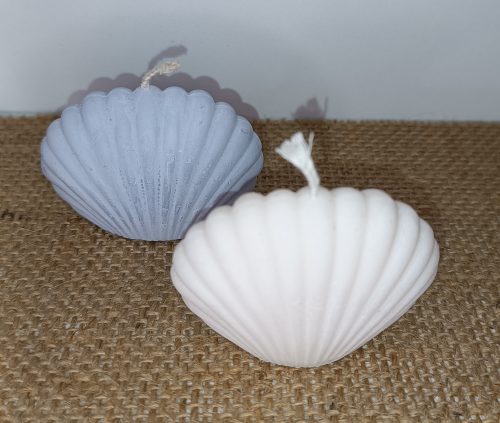 IMG_20251229_231951 Ocean Shell