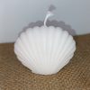IMG_20251229_232009 Ocean Shell