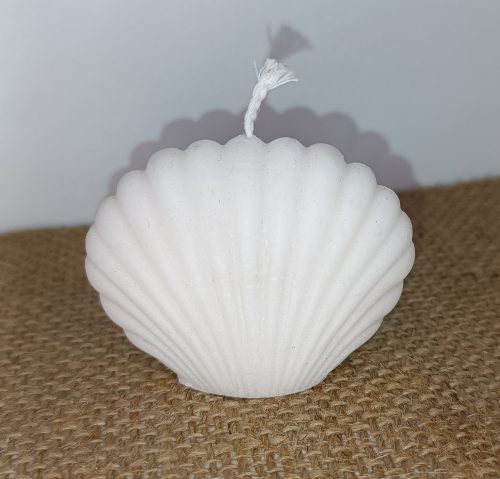 IMG_20251229_232009 Ocean Shell